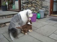 Just a quick kiss May 2010